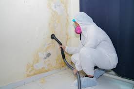 Best Industrial Mold Remediation  in Kitty Hawk, NC